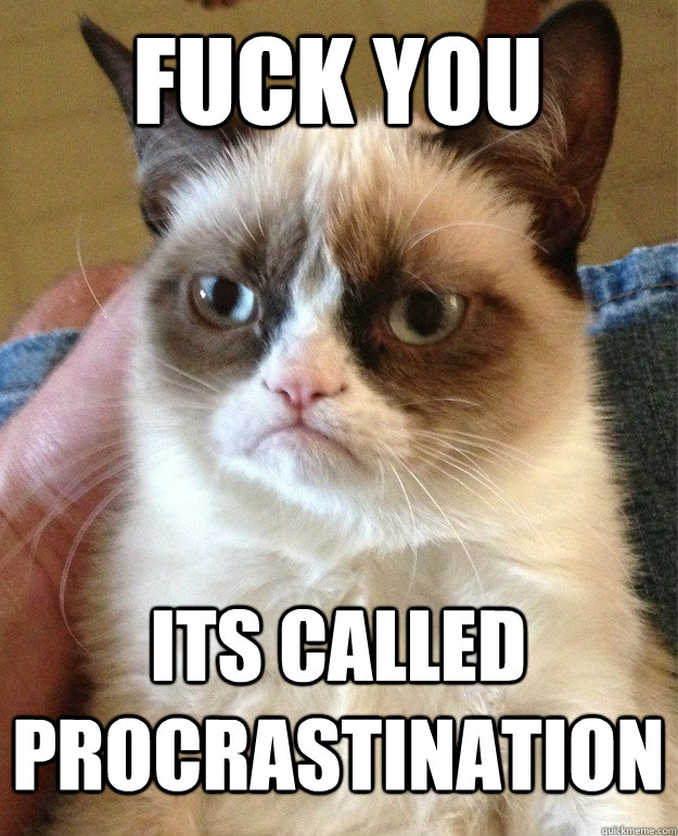 fuck you  its called procrastination  Grumpy Cat