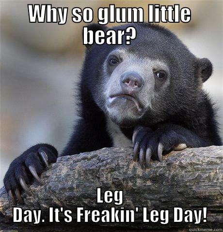 WHY SO GLUM LITTLE BEAR? LEG DAY. IT'S FREAKIN' LEG DAY! Confession Bear