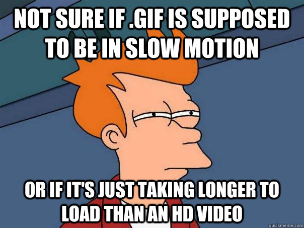 Not sure if .gif is supposed to be in slow motion or if it's just taking longer to load than an HD video  Futurama Fry