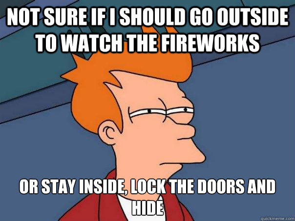 not sure if i should go outside to watch the fireworks or stay inside, lock the doors and hide - not sure if i should go outside to watch the fireworks or stay inside, lock the doors and hide  Futurama Fry