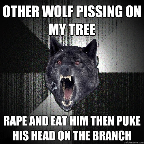 Other wolf pissing on my tree rape and eat him then puke his head on the branch  Insanity Wolf