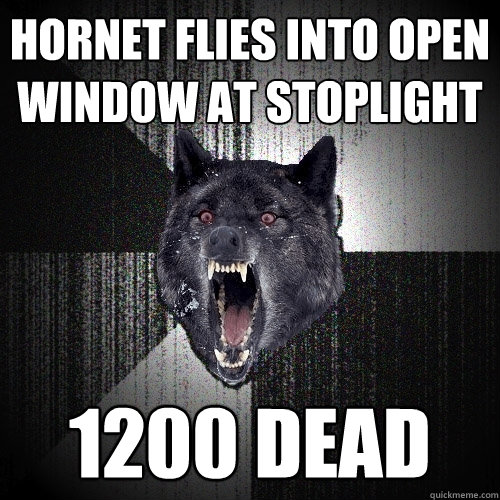 Hornet flies into open window at stoplight 1200 dead  Insanity Wolf