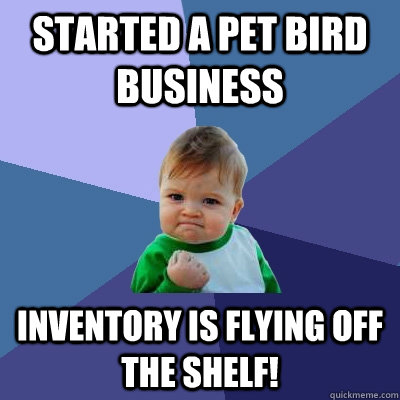 Started a Pet Bird Business Inventory is Flying off the Shelf!  Success Kid