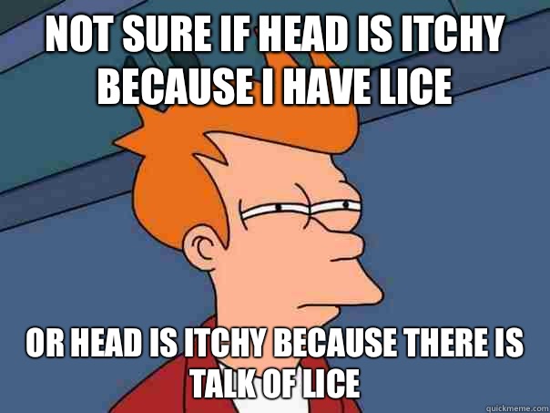 not sure if head is itchy because I have lice or head is itchy because there is talk of lice  Futurama Fry