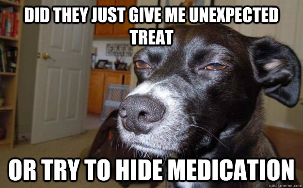 did they just give me unexpected treat or try to hide medication  Skeptical Mutt