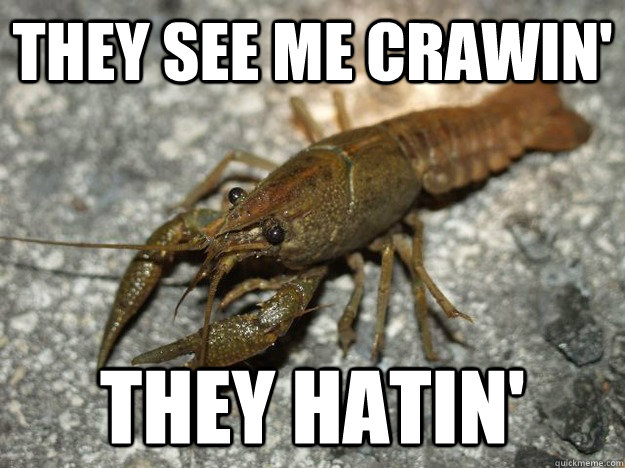 they see me crawin' they hatin'  that fish cray