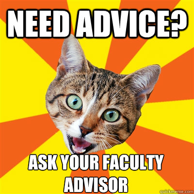 need advice? ask your faculty advisor  Bad Advice Cat