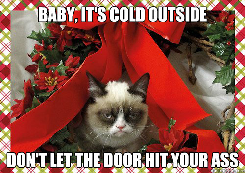 Baby, it's cold outside Don't let the door hit your ass - Baby, it's cold outside Don't let the door hit your ass  A Grumpy Cat Christmas