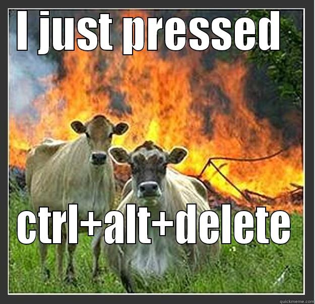 Computer problems - I JUST PRESSED  CTRL+ALT+DELETE Evil cows