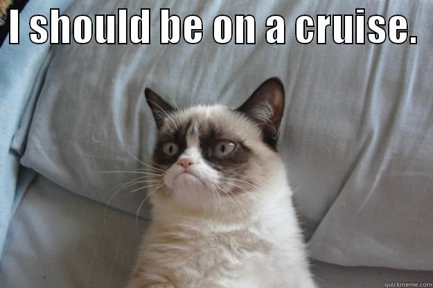  I SHOULD BE ON A CRUISE.    Grumpy Cat