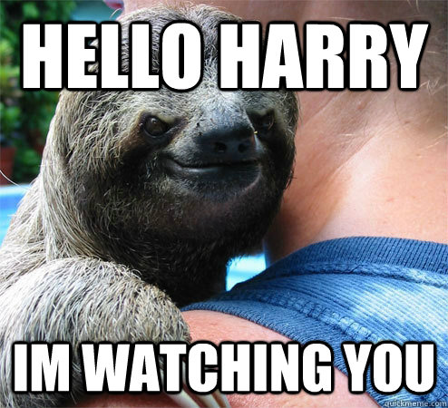 Hello Harry Im watching you  Suspiciously Evil Sloth