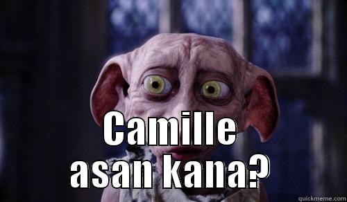  CAMILLE ASAN KANA? Misc