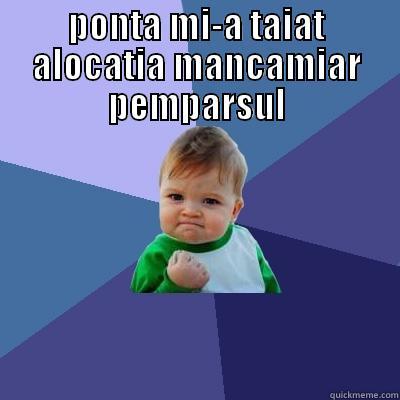 PONTA MI-A TAIAT ALOCATIA MANCAMIAR PEMPARSUL  Success Kid