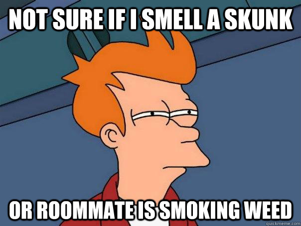 Not sure if i smell a skunk  or roommate is smoking weed  Futurama Fry