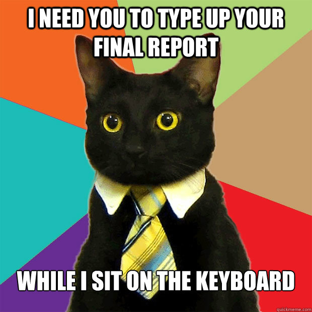 I need you to type up your final report While i sit on the keyboard - I need you to type up your final report While i sit on the keyboard  Business Cat