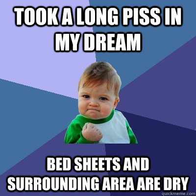 Took a long piss in my dream Bed sheets and surrounding area are dry  Success Kid