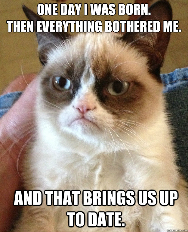 One day I was born.
then everything bothered me. and that brings us up to date.  Grumpy Cat