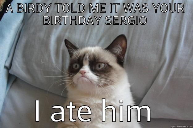 A BIRDY TOLD ME IT WAS YOUR BIRTHDAY SERGIO I ATE HIM Grumpy Cat