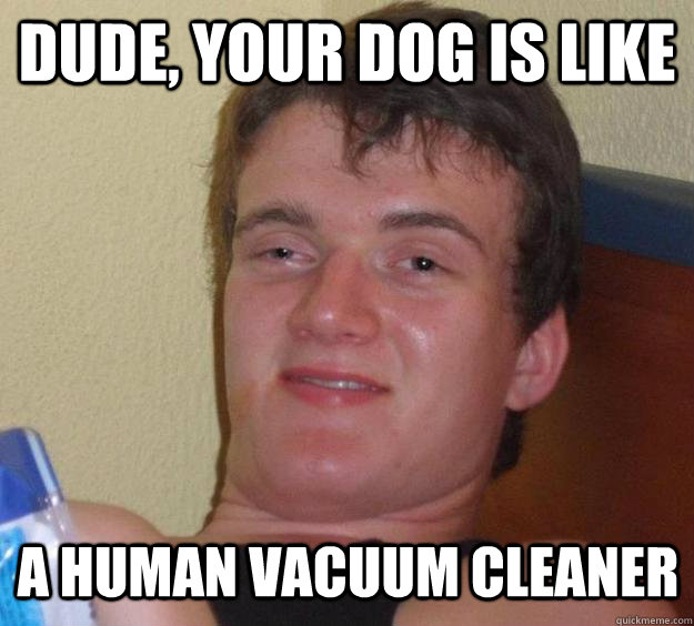 Dude, your dog is like a human vacuum cleaner  10 Guy