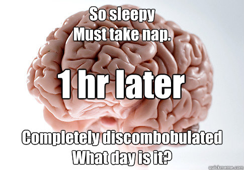 So sleepy
Must take nap. Completely discombobulated
What day is it? 1 hr later  Scumbag Brain