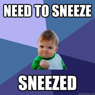 Need to sneeze sneezed  Success Kid