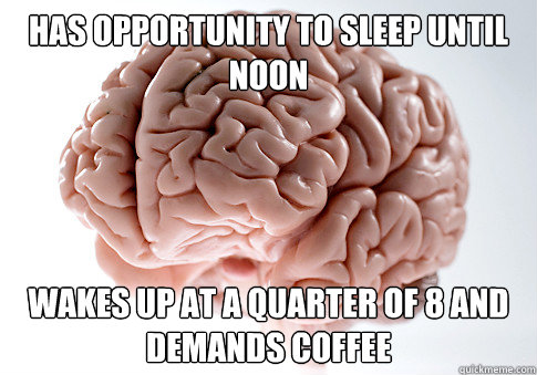 Has opportunity to sleep until noon Wakes up at a quarter of 8 and demands coffee  Scumbag Brain