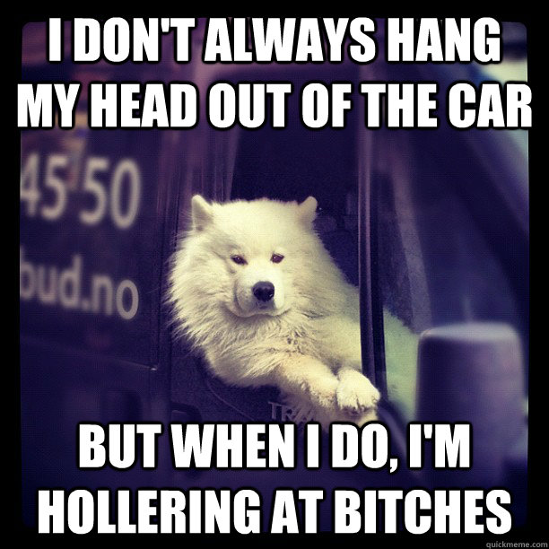 I don't always hang my head out of the car but when i do, i'm hollering at bitches - I don't always hang my head out of the car but when i do, i'm hollering at bitches  Misc