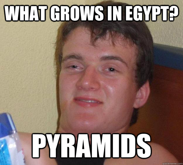 What grows in egypt? Pyramids   10 Guy