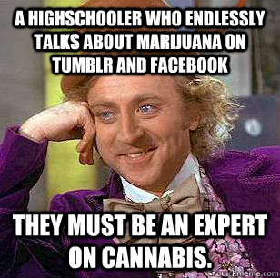 A highschooler who endlessly talks about marijuana on tumblr and facebook they must be an expert on cannabis. - A highschooler who endlessly talks about marijuana on tumblr and facebook they must be an expert on cannabis.  Condescending Wonka