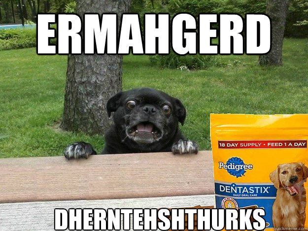 ermahgerd DHERNTEHSHTHURKS - ermahgerd DHERNTEHSHTHURKS  Berks Dog