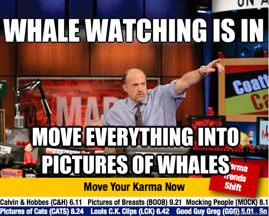 Whale watching is in
 Move everything into pictures of whales - Whale watching is in
 Move everything into pictures of whales  Mad Karma with Jim Cramer