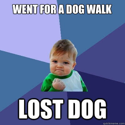 went for a dog walk lost dog - went for a dog walk lost dog  Success Kid