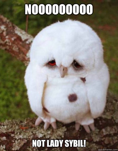 Nooooooooo not Lady Sybil! - Nooooooooo not Lady Sybil!  Depressed Owl