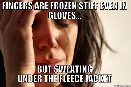 Winter Dilemma - FINGERS ARE FROZEN STIFF EVEN IN GLOVES... BUT SWEATING UNDER THE FLEECE JACKET First World Problems