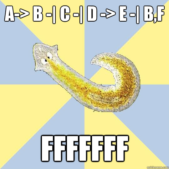 a-> b -| C -| D -> E -| B,f fffffff  Bio Major Planarian