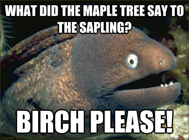 What did the maple tree say to the sapling? birch please! - What did the maple tree say to the sapling? birch please!  Bad Joke Eel