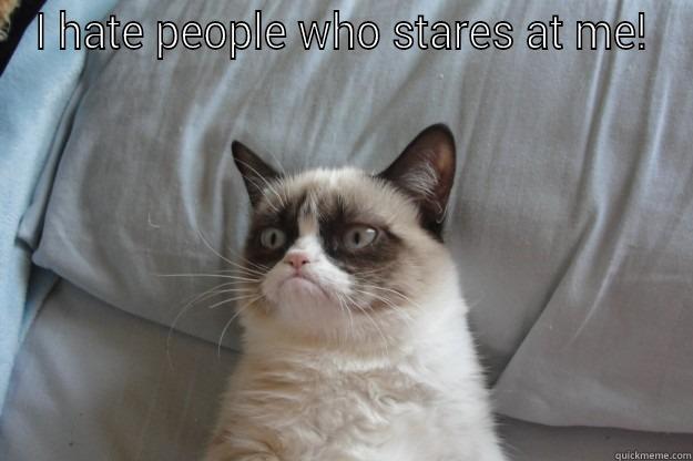 I HATE PEOPLE WHO STARES AT ME!  Grumpy Cat