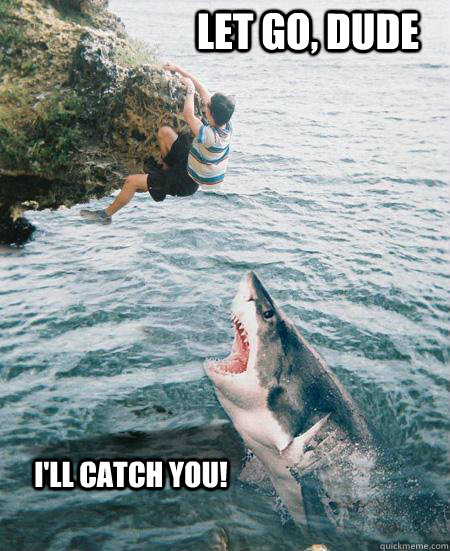 Let go, dude I'll catch you! - Let go, dude I'll catch you!  helpful shark