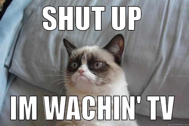 SHUT UP IM WACHIN' TV Grumpy Cat