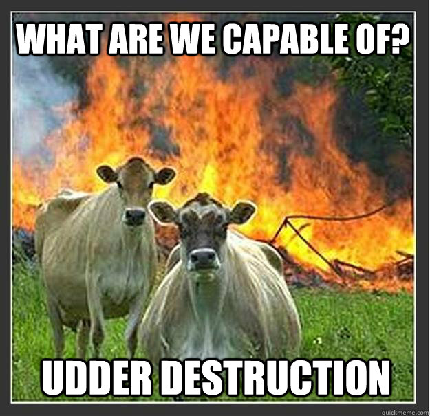 What are we capable of? Udder destruction  Evil cows