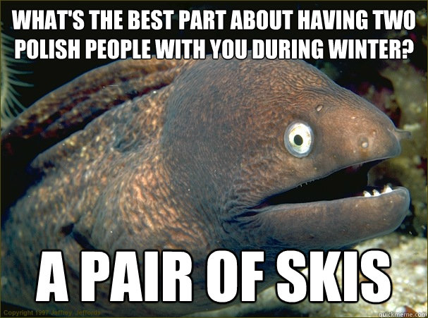 What's the best part about having two polish people with you during winter? a pair of skis  Bad Joke Eel