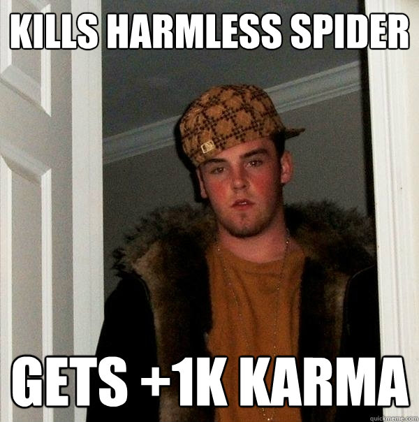 Kills harmless spider gets +1k karma - Kills harmless spider gets +1k karma  Scumbag Steve