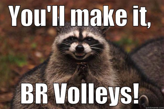 YOU'LL MAKE IT, BR VOLLEYS! Evil Plotting Raccoon