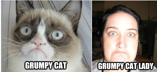 Grumpy Cat Grumpy Cat Lady - Grumpy Cat Grumpy Cat Lady  Misc