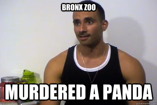 BRONX ZOO MURDERED A PANDA  