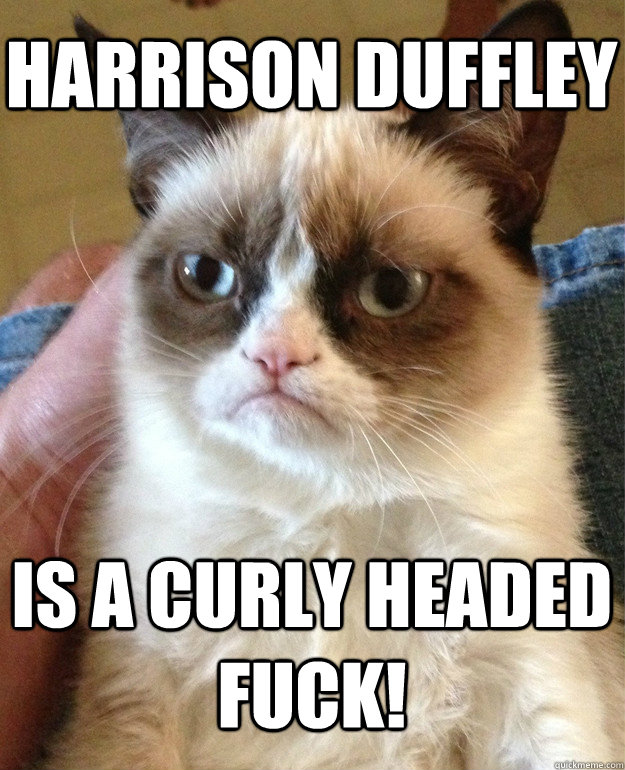 Harrison Duffley is a curly headed fuck!  Grumpy Cat