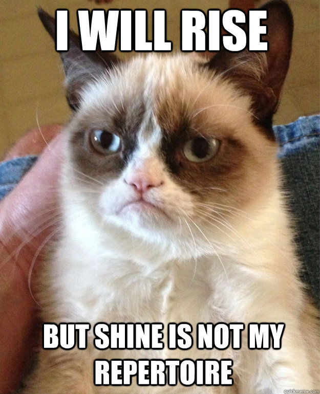 I will rise But shine is not my repertoire  Grumpy Cat