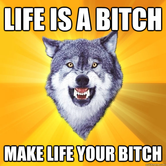 life is a bitch Make life your bitch  Courage Wolf