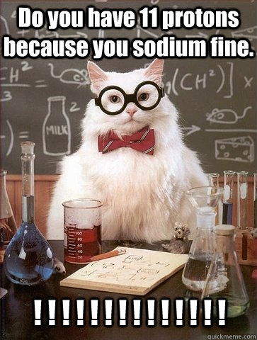 Do you have 11 protons because you sodium fine. ! ! ! ! ! ! ! ! ! ! ! ! ! !  - Do you have 11 protons because you sodium fine. ! ! ! ! ! ! ! ! ! ! ! ! ! !   Chemistry Cat