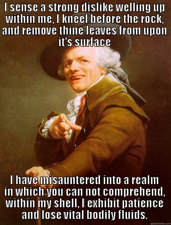 I SENSE A STRONG DISLIKE WELLING UP WITHIN ME, I KNEEL BEFORE THE ROCK, AND REMOVE THINE LEAVES FROM UPON IT'S SURFACE I HAVE MISAUNTERED INTO A REALM IN WHICH YOU CAN NOT COMPREHEND, WITHIN MY SHELL, I EXHIBIT PATIENCE AND LOSE VITAL BODILY FLUIDS. Joseph Ducreux